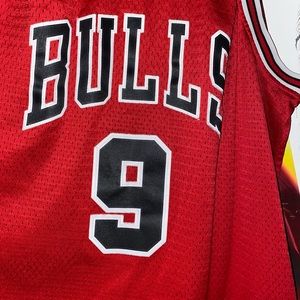Bulls Jersey Loul Deng 2XL